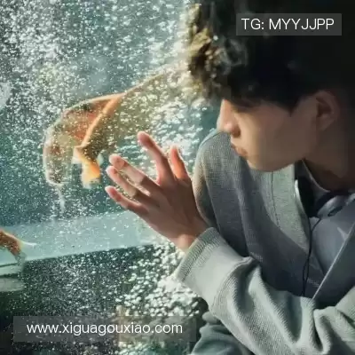 薄琼津